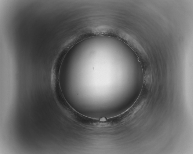 X0000102300448200807251438