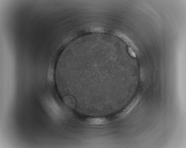 X0000102300449200807251438