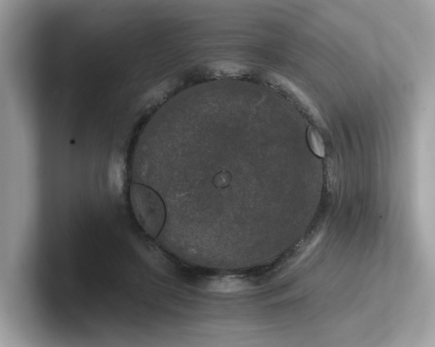 X0000102300451200807251438