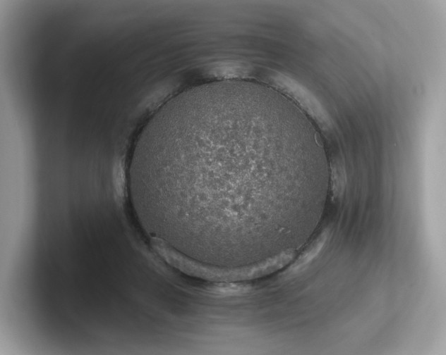 X0000102300453200807251438