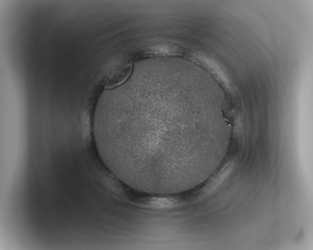 X0000102300457200807251438