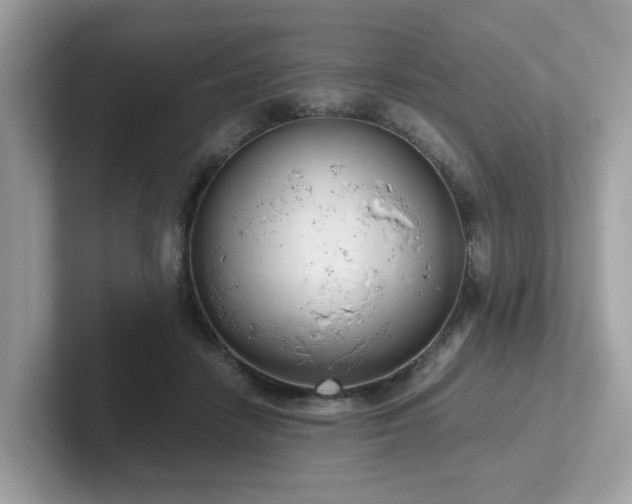 X0000102300458200807251438