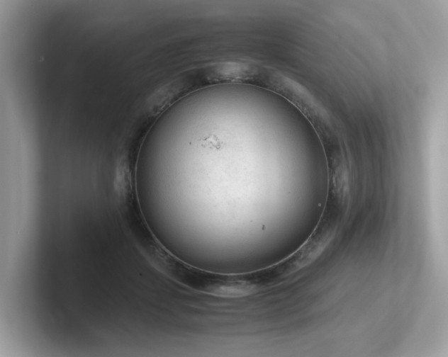 X0000102300459200807251438