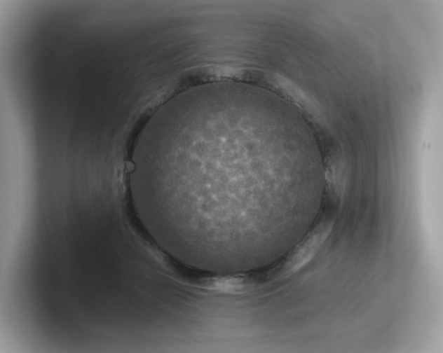 X0000102300462200807251438