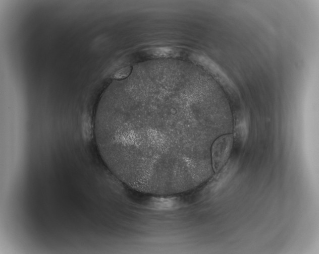 X0000102300469200807251438