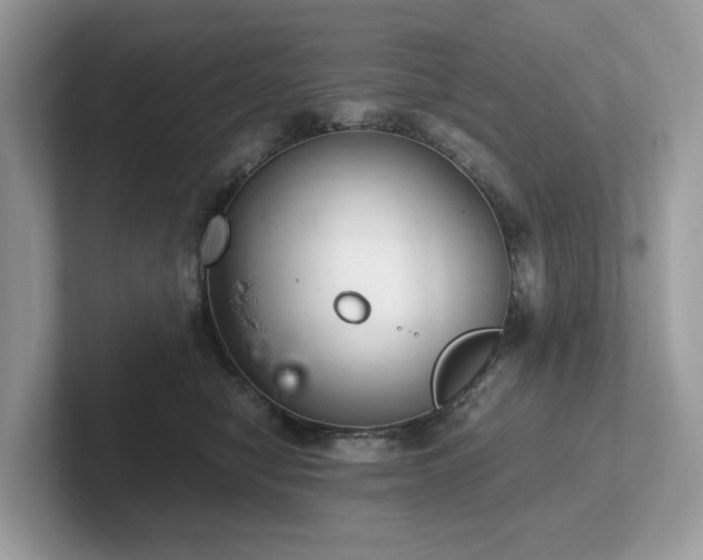 X0000102300470200807251438