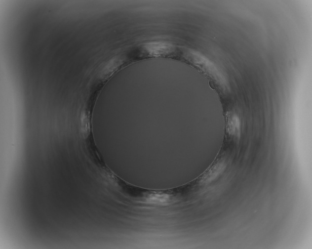 X0000102300471200807251438