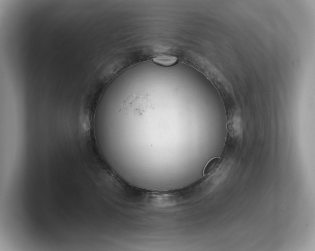 X0000102300472200807251438