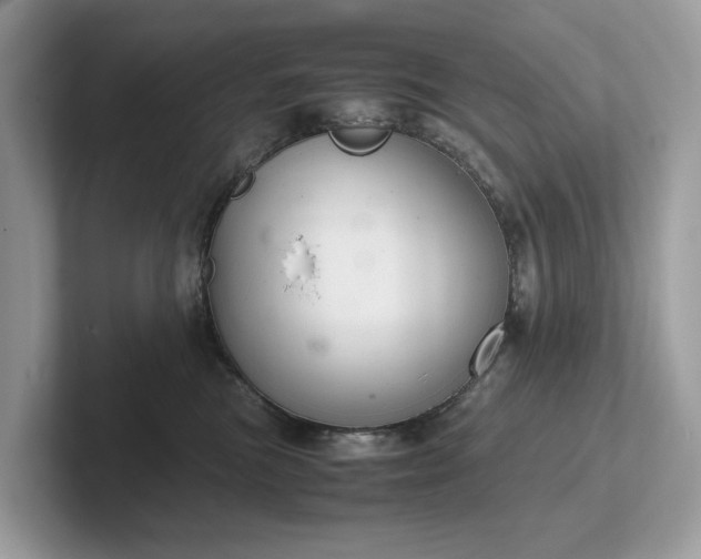 X0000102300473200807251438