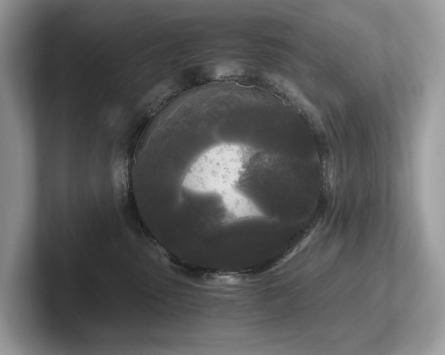 X0000102300475200807251438