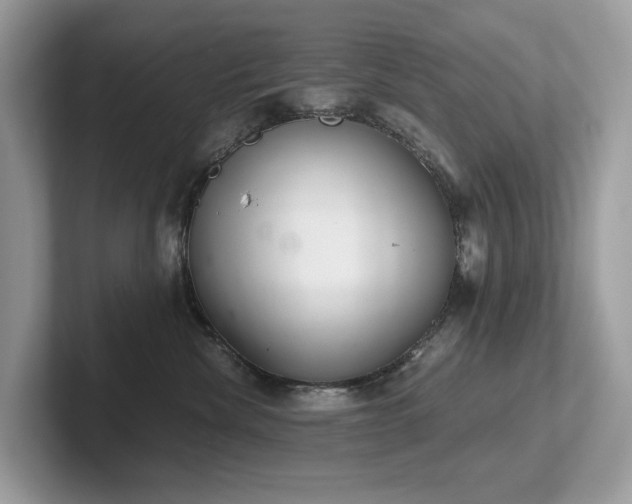 X0000102300476200807251438