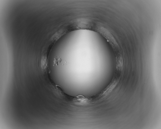 X0000102300478200807251439