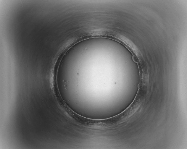 X0000102300485200807251438