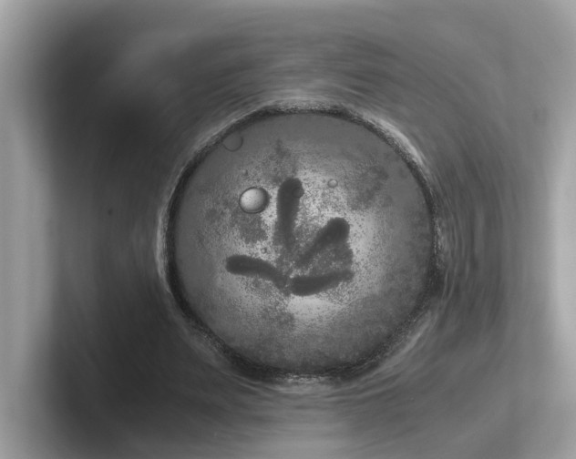 X0000102300487200807251438