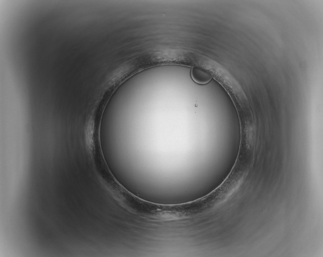 X0000102300490200807251438