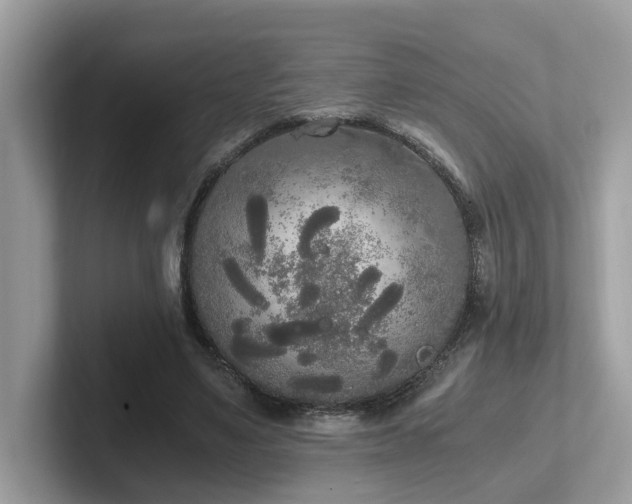 X0000102300491200807251438