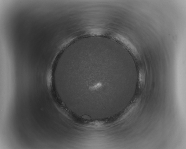 X0000102300492200807251438