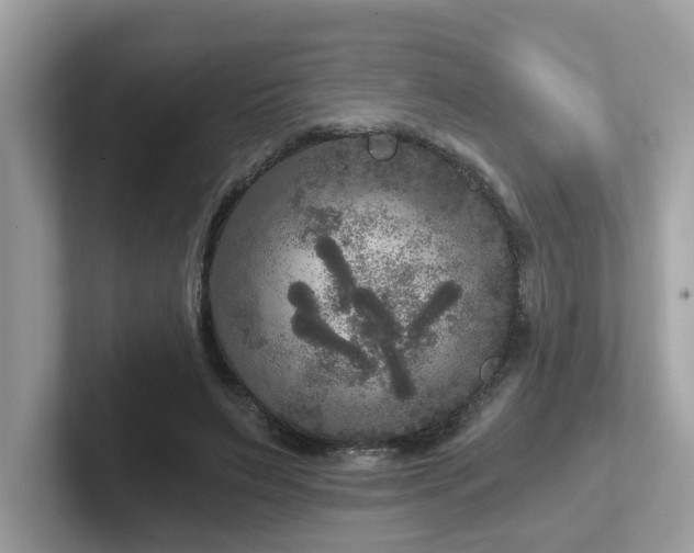 X0000102300495200807251438