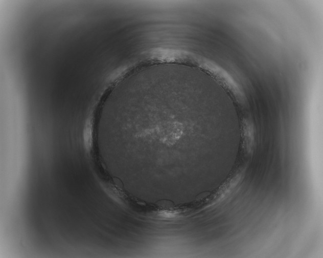 X0000102300496200807251438