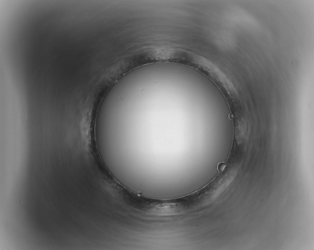 X0000102300497200807251438