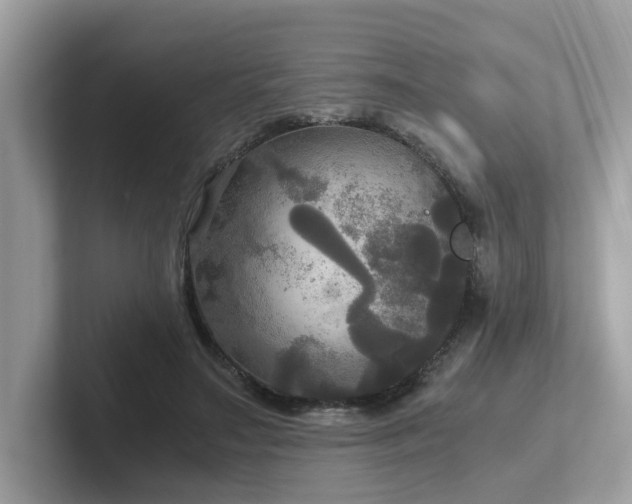 X0000102300499200807251438