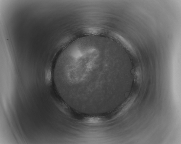 X0000102300500200807251438