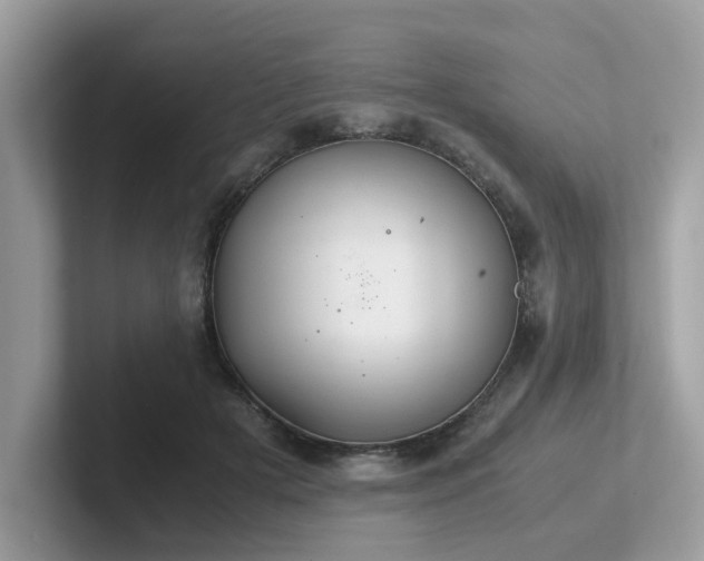 X0000102300505200807251438