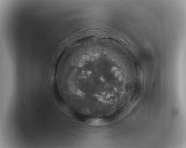 X0000102300507200807251438