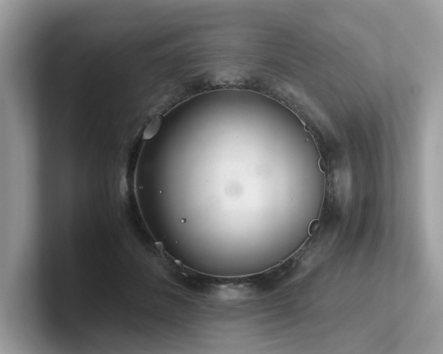 X0000102300508200807251438