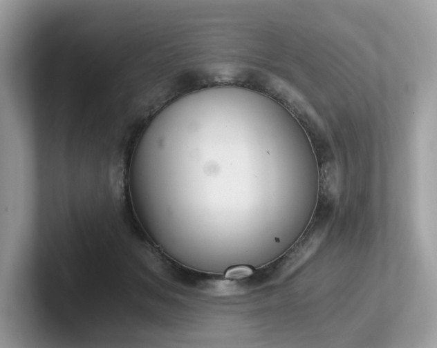 X0000102300509200807251438