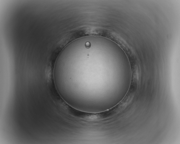 X0000102300513200807251437