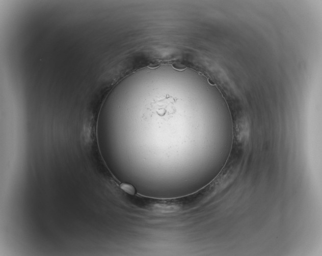 X0000102300515200807251437