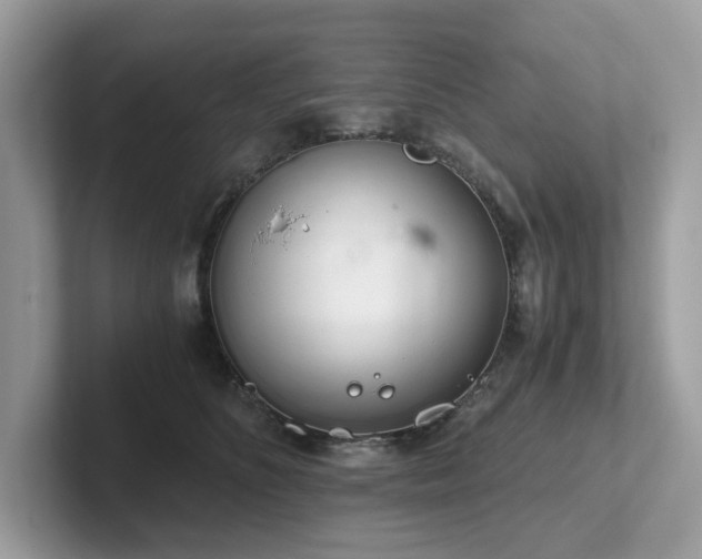 X0000102300516200807251437