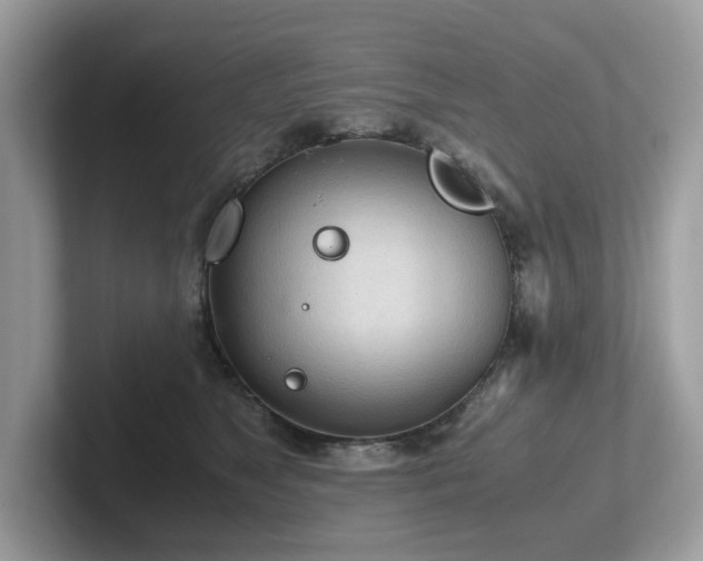 X0000102300517200807251437