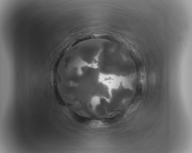 X0000102300519200807251437