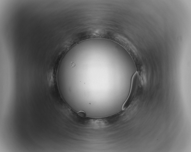 X0000102300520200807251437