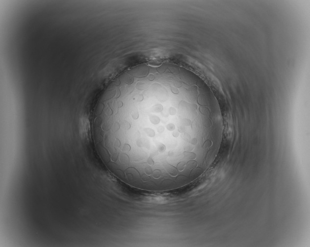 X0000102300523200807251437