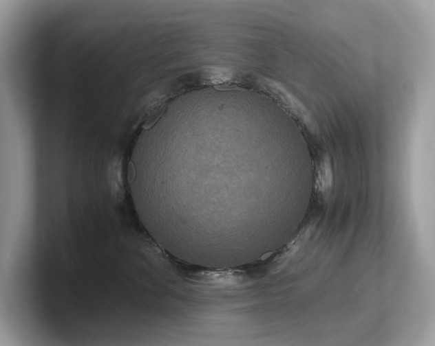 X0000102300524200807251437