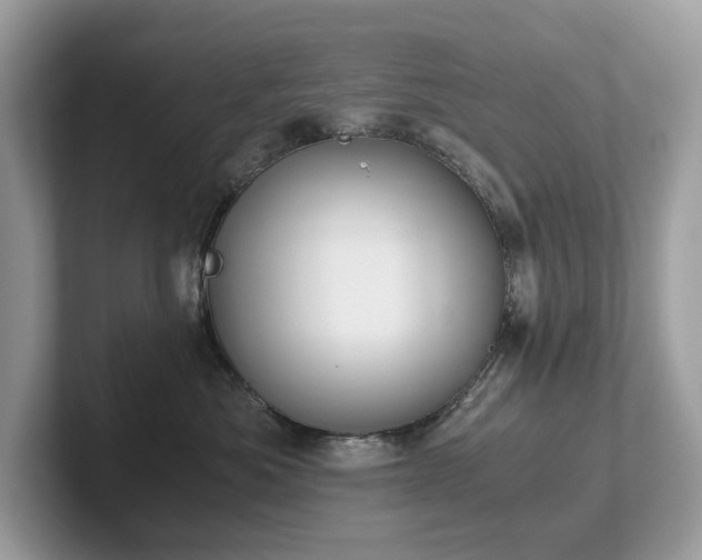 X0000102300525200807251437