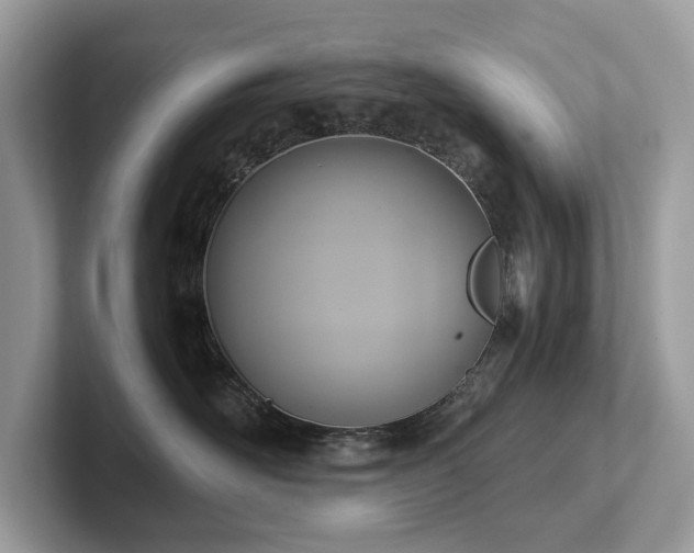 X0000102300526200807251437