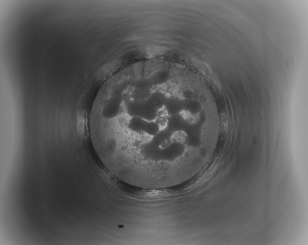 X0000102300527200807251437