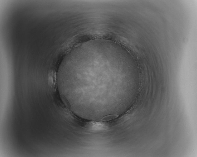 X0000102300528200807251437