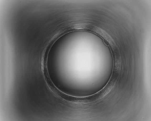 X0000102300530200807251437