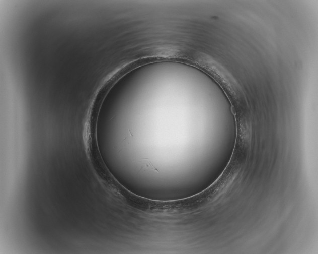 X0000102300532200807251437