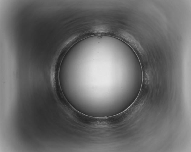 X0000102300535200807251437