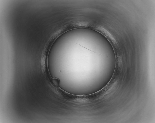 X0000102300537200807251437