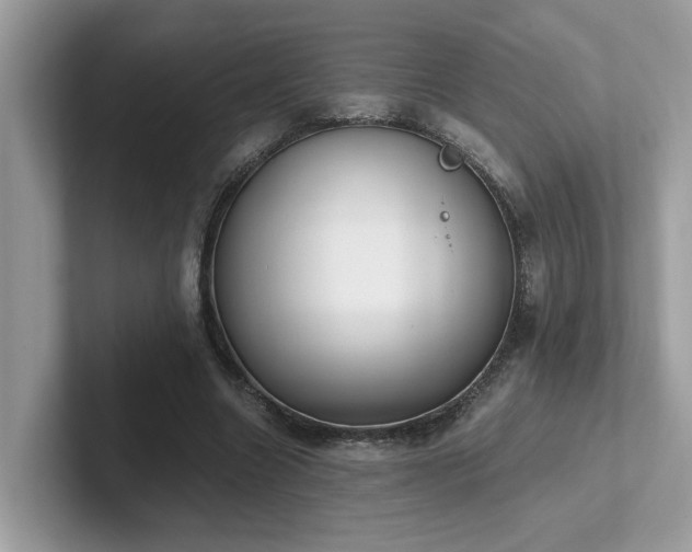 X0000102300538200807251437