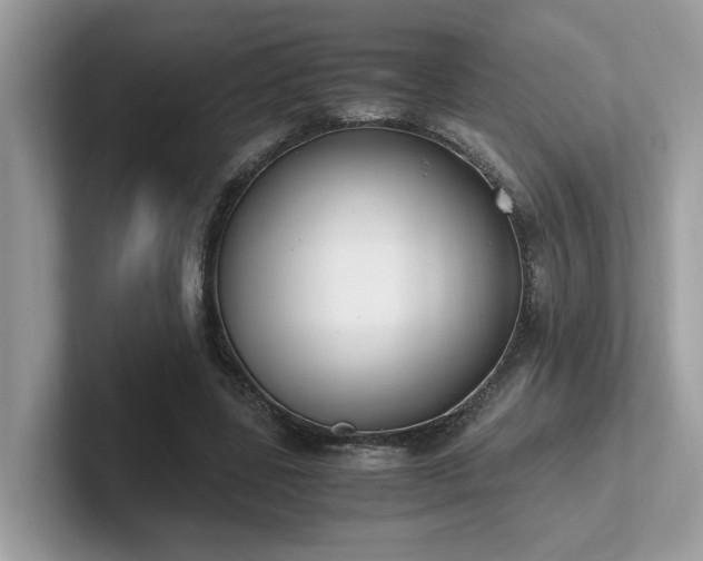 X0000102300539200807251437