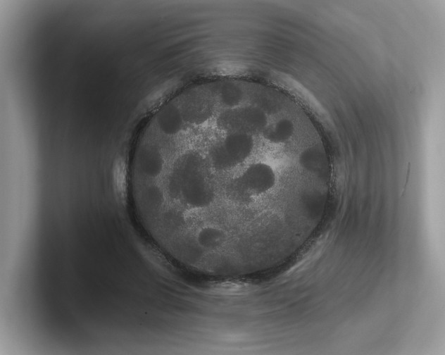 X0000102300542200807251437