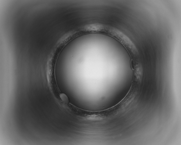 X0000102300544200807251437
